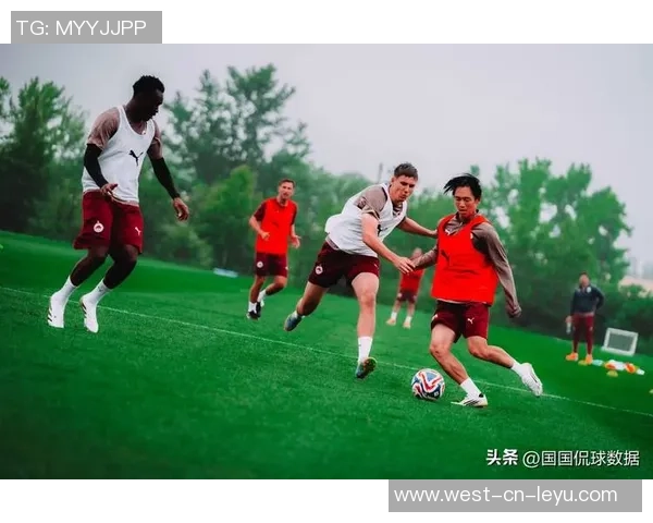 星辉足球俱乐部:追逐梦想的绿茵场上演绎青春与激情的华丽篇章