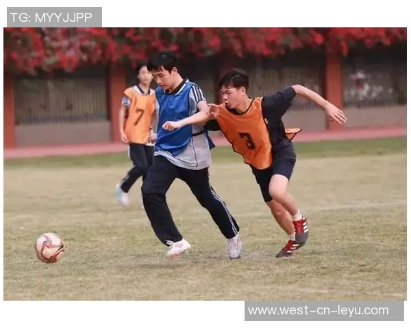 踢足球的技巧与乐趣分享让你在球场上尽显风采与激情